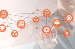 alcadis-professional-services alcadis-professional-services